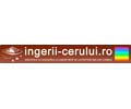 Logo der Webseite ingerii-cerului.ro