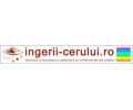 Logo der Webseite ingerii-cerului.ro