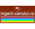 Logo der Webseite ingerii-cerului.ro