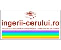 Logo der Webseite ingerii-cerului.ro